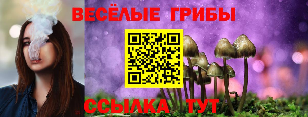 Октябрьский  Галлюциногенные грибы Psilocybine cubensis  Вход с VPN 