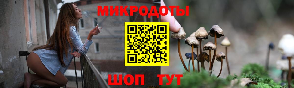 Псилоцибиновые грибы мицелий Октябрьский